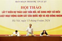 Chỉ nên khái quát cơ bản, không cá biệt hóa vấn đề thực tiễn vào luật