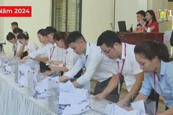 Lo ngại giá ảo từ cuộc đua đấu giá đất