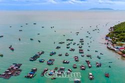 Nghề nuôi cá lồng bè