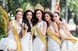 Sở Thông tin và Truyền thông TP.HCM tiếp nhận đơn kiến nghị xử lý tài khoản MXH bôi nhọ cá nhân, tổ chức