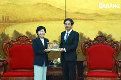 Triển khai hiệu quả các lĩnh vực hợp tác giữa Đà Nẵng và Jeju (Hàn Quốc)