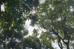 Nắng nóng bao trùm các địa phương trong tỉnh