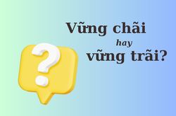 'Vững chãi' hay 'vững trãi' mới đúng chính tả?