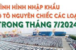 Infographics: Việt Nam nhập khẩu 91.637 ô tô nguyên chiếc các loại trong 7 tháng năm 2024