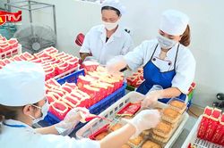 Công khai tên cơ sở vi phạm an toàn thực phẩm dịp Tết Trung thu