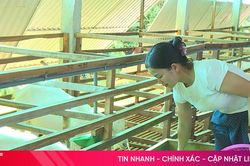 Nông dân Hương Sơn giảm nghèo bền vững từ nuôi dê