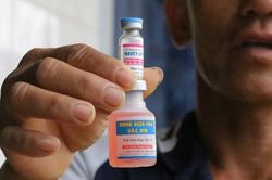 Yêu cầu làm rõ quy trình đấu thầu loại vaccine khiến bò chết hàng loạt
