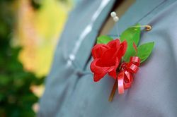 Góc nhìn 365: Bông hồng trên ngực áo