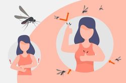 Những lưu ý quan trọng phòng, chữa bệnh sốt xuất huyết