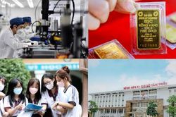 Nóng 18h: Giám sát về phát triển và sử dụng nguồn nhân lực trên phạm vi cả nước