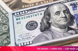 Tỷ giá USD hôm nay 20/8/2024: Thấp nhất trong 7 tháng