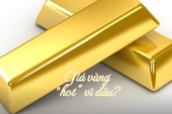 Vì sao vàng miếng SJC tăng sốc, ngược đà thế giới?