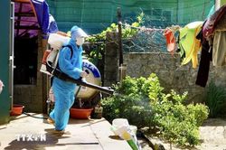 Ca đầu tiên không qua khỏi ở Quảng Bình do mắc sốt xuất huyết