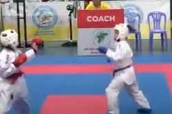 Liên đoàn Karate TP.HCM vào cuộc vụ phụ huynh tố sai phạm ở giải karate năng khiếu