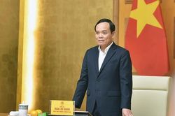 Ông Trần Lưu Quang được phân công giữ chức Trưởng Ban Kinh tế Trung ương