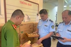 Phát hiện, tiêu hủy gần 5.000 bánh trung thu nhập lậu