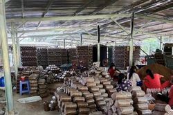 Chị nông dân trồng loại cây 'siêu sạch', nhẹ nhàng thu gần 1 tỷ đồng/năm