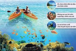 Nha Trang vào top 5 điểm lặn biển đẹp nhất châu Á