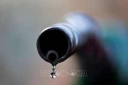 Giá dầu dứt chuỗi giảm 4 phiên liên tiếp