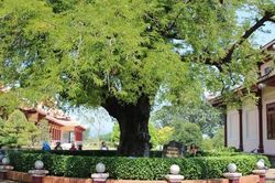 Nắng, mưa Bình Định