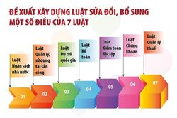Chuyên đề: Sửa luật chưa có tiền lệ trong lĩnh vực tài chính