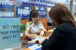 Rà soát công tác ủy nhiệm thu thuế chống thất thoát ngân sách