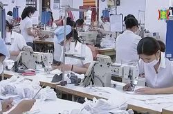 Nhìn lại 4 năm Việt Nam tham gia EVFTA