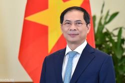 Tiểu sử Ủy viên Trung ương Đảng, Phó Thủ tướng, Bộ trưởng Ngoại giao Bùi Thanh Sơn