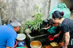 Tình hình sốt xuất huyết tại Hà Nội tuần qua: Số ca mắc giảm, số ổ dịch tăng