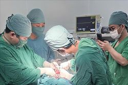 Người đàn ông bị tổn thương mặt nghiêm trọng do chó cắn