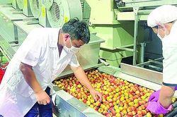 'Cửa sáng' tới thị trường xuất khẩu mới để phát triển bền vững