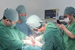 Người đàn ông ở Cần Thơ bị chó cắn mất toàn bộ cánh mũi