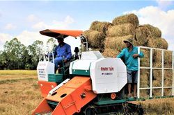 Cần đến 2,1 tỷ USD để áp dụng các quy trình sản xuất lúa gạo phát thải thấp