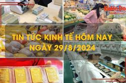 Tin tức kinh tế ngày 29/8: xuất khẩu gạo sẽ thu về 5 tỷ USD