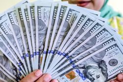 Tỷ giá USD hôm nay 29/8/2024: Thế giới tăng, trong nước giảm