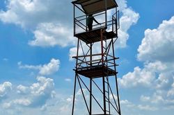 Nghệ An tăng cường giải pháp phòng, chống cháy rừng khi nắng nóng kéo dài