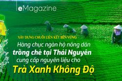 Liên kết bền vững từ hộ nông dân đến nhà sản xuất