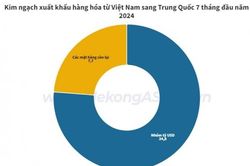 Những mặt hàng nào Việt Nam xuất sang Trung Quốc đạt trên một tỷ USD?