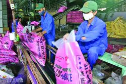 Dự án Luật thuế Giá trị gia tăng: Còn nhiều vấn đề phải bàn thêm