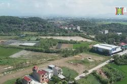 Đề xuất diện tích tối thiểu 50m2 mới được tách thửa