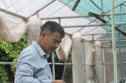 'Chìa khóa' thành công của tỷ phú nuôi tôm Nghệ An - Nông dân Việt Nam xuất sắc năm 2024