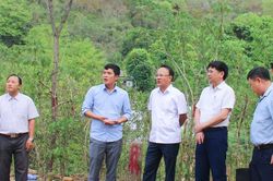 Đổi mới, nâng cao chất lượng, hiệu quả hoạt động của HĐND tỉnh Nghệ An