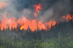 Cháy rừng ở Canada khiến lượng phát thải CO2 tăng cao
