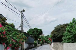 Nghi Lộc: Ý Đảng - lòng dân nối đường hạnh phúc