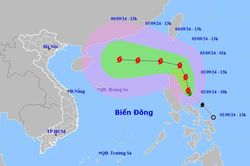 Các tỉnh, thành phố ven biển từ Quảng Ninh đến Phú Yên chủ động theo dõi, ứng phó bão Yagi