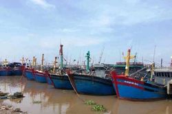 Hải Phòng: chủ động triển khai công tác ứng phó với bão số 3