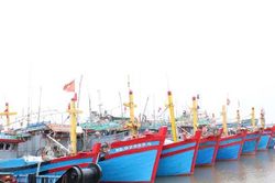 Nam Định: triển khai các biện pháp ứng phó với bão YAGI