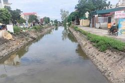Các ngành, địa phương, đơn vị ở Hải Phòng chủ động phòng, chống bão số 3