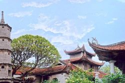 Quyền và nghĩa vụ của tổ chức tôn giáo được Nhà nước giao đất không thu tiền sử dụng đất?