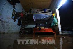 Phòng dịch bệnh trong bão lụt và mưa lũ như thế nào?